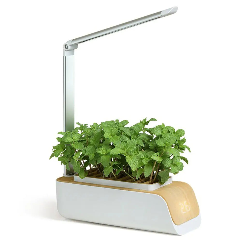 Led Smart Flower Pot